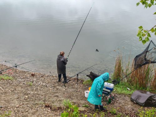 IMG-20260516-WA0018